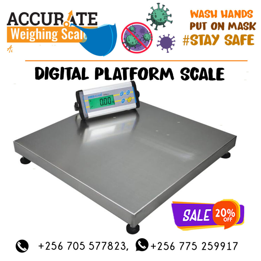 Checkweigher Scales