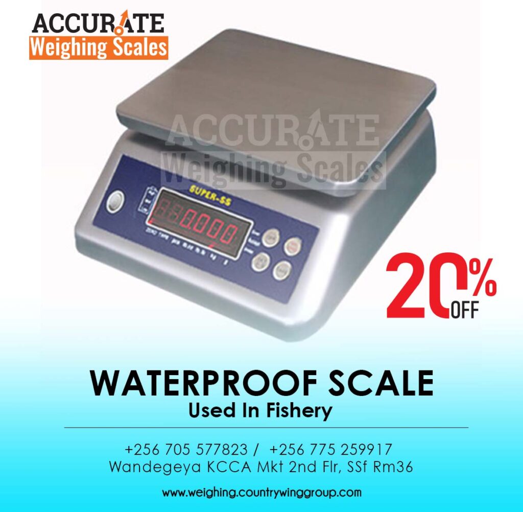 digital weighing scales