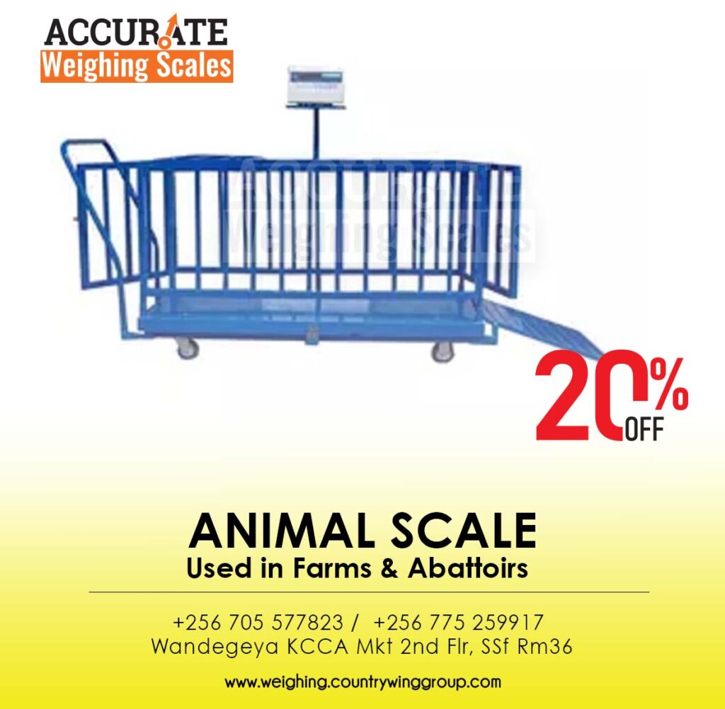 cattle weighing scale