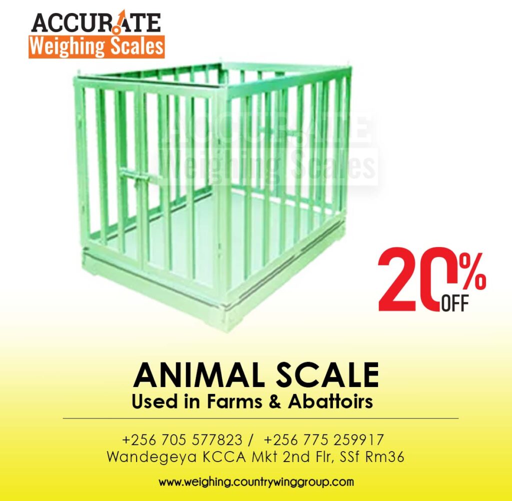 single animal weighing scales