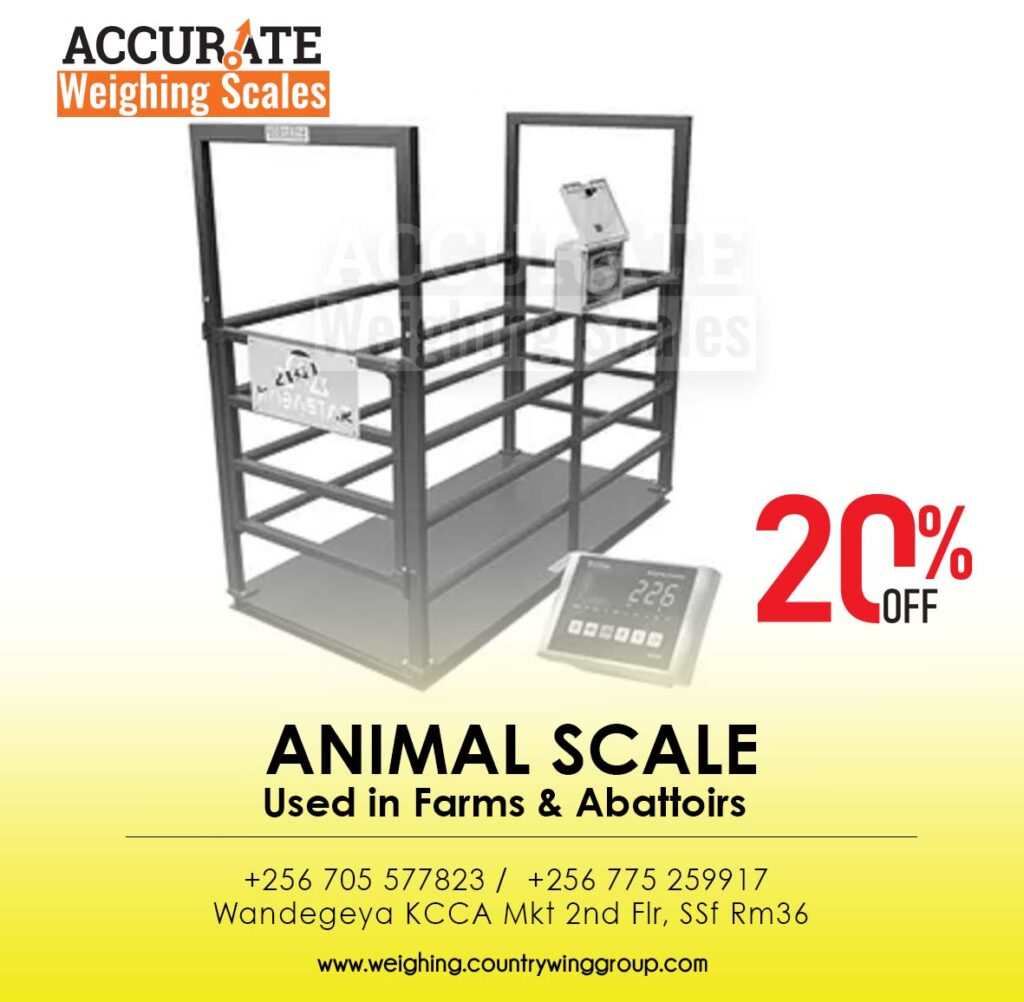 Livestock weighing scales