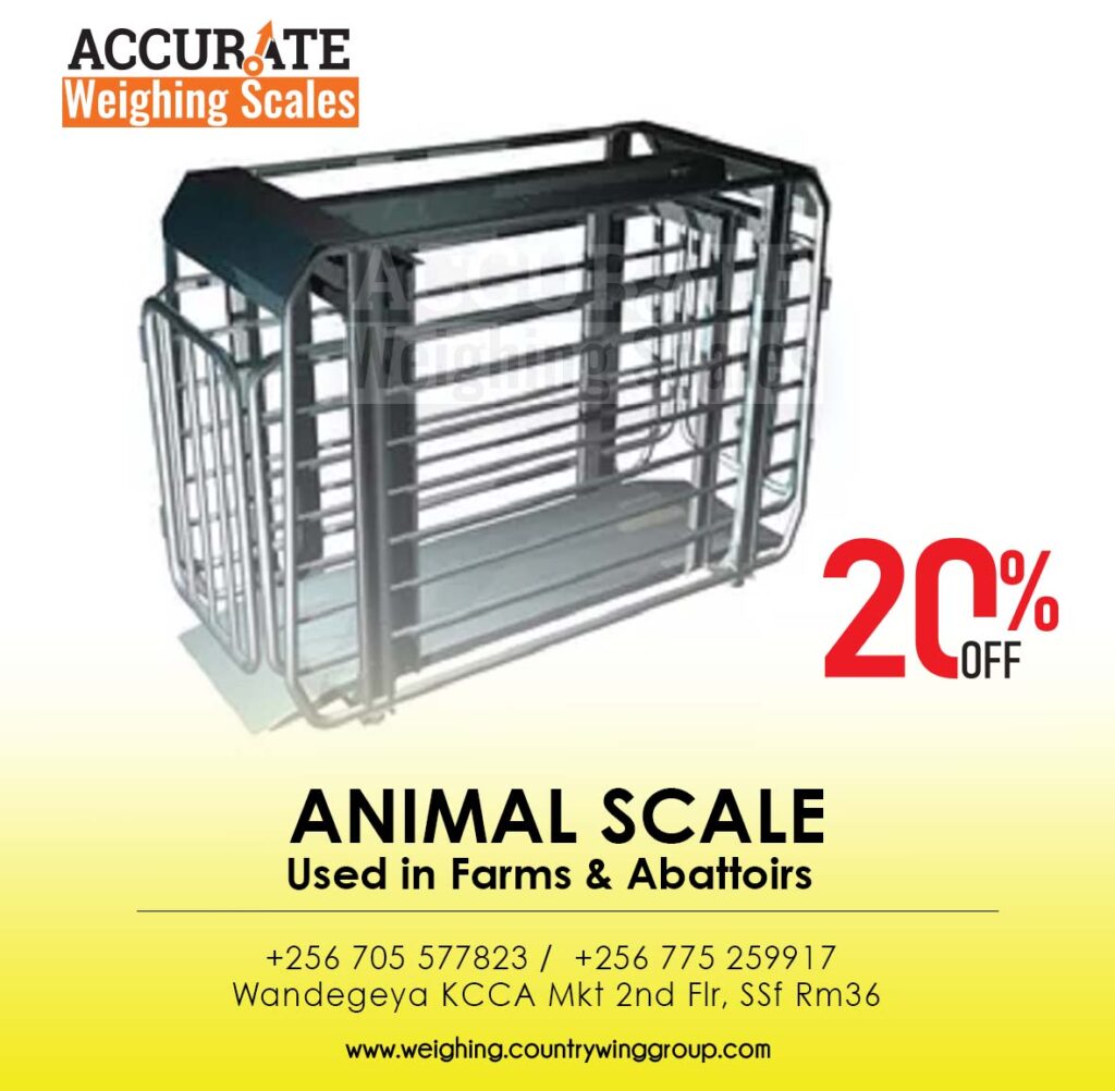 Veterinary Scale for Pig